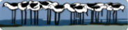 Swan Estuary Reserves Action Group Inc. | SERAG